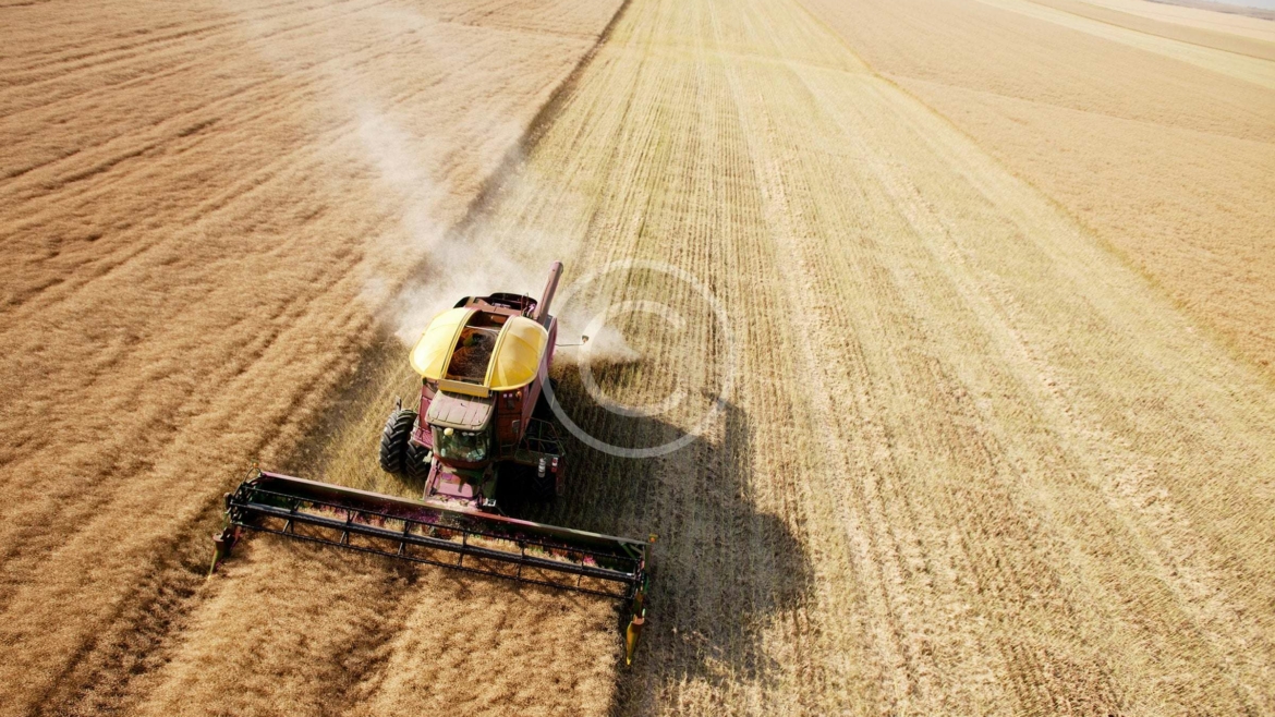 Spécialités Régionales