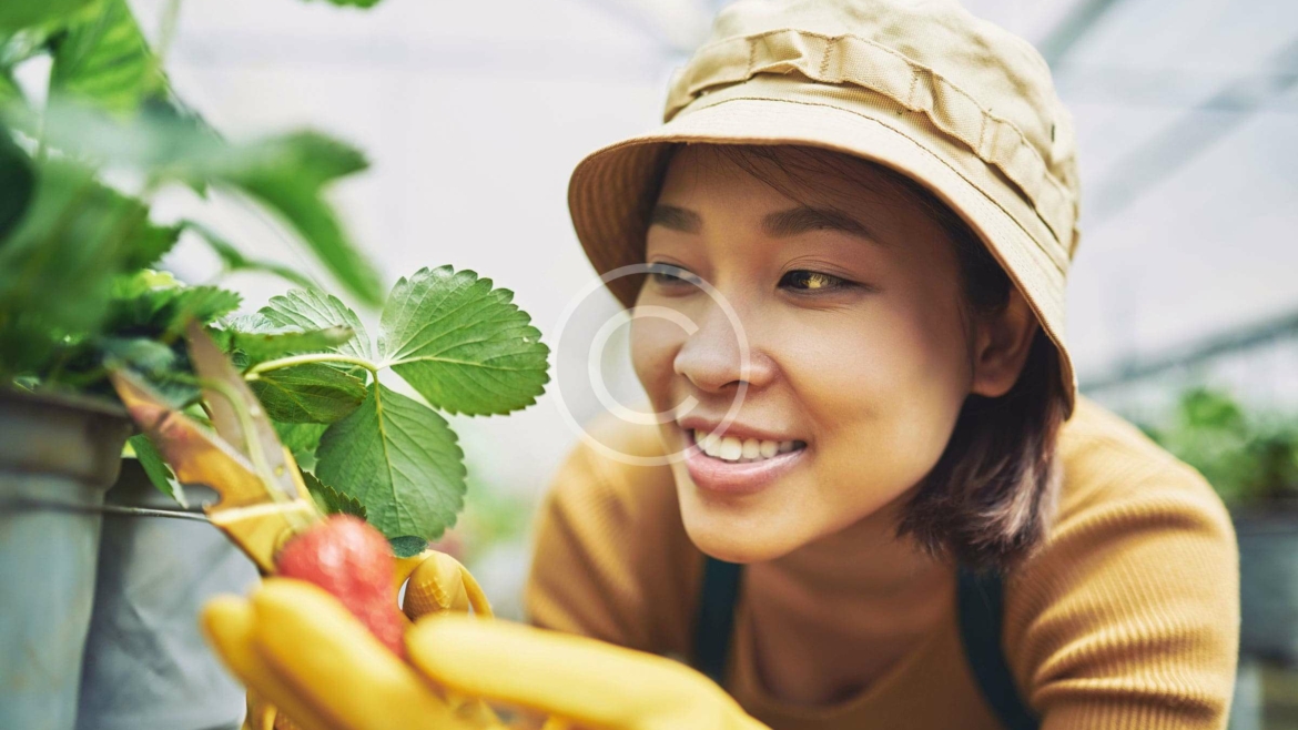 canards Gras & Chapons